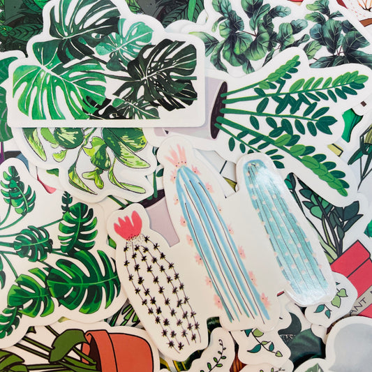 Plants 🪴 Random Water Resistant 6ct Sticker Pack